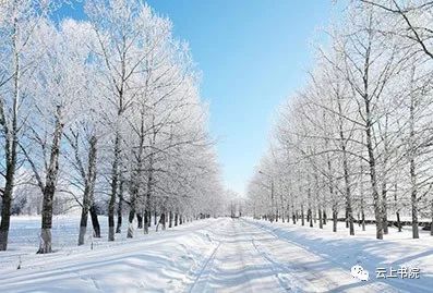 邻家雪姨，冬日里的温暖篇章