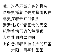 打pp小说，一种独特的文学表达与情感释放