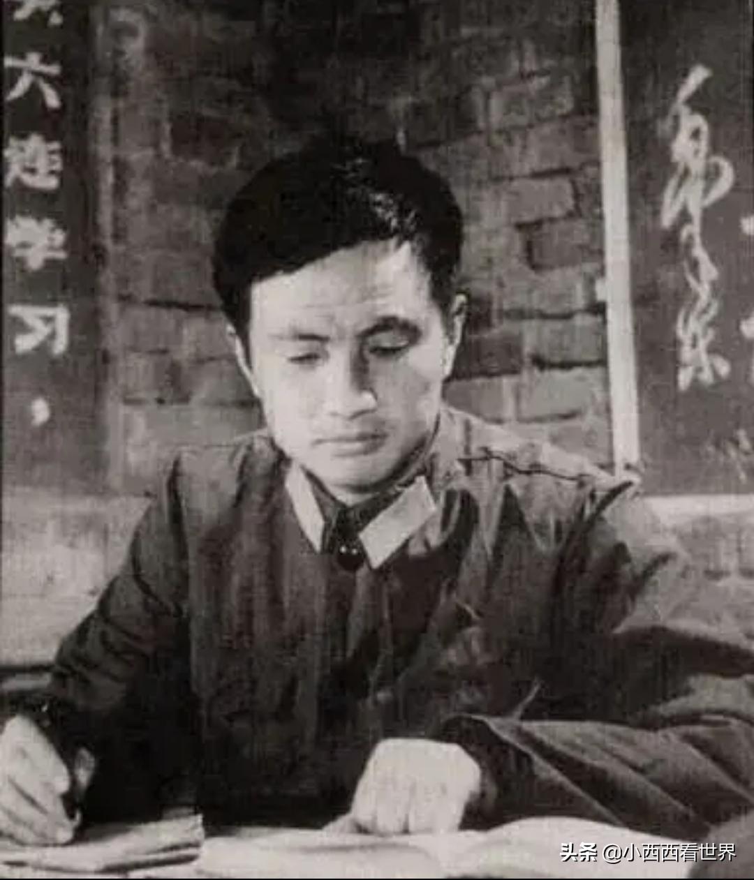 小说书网，数字时代的文学殿堂