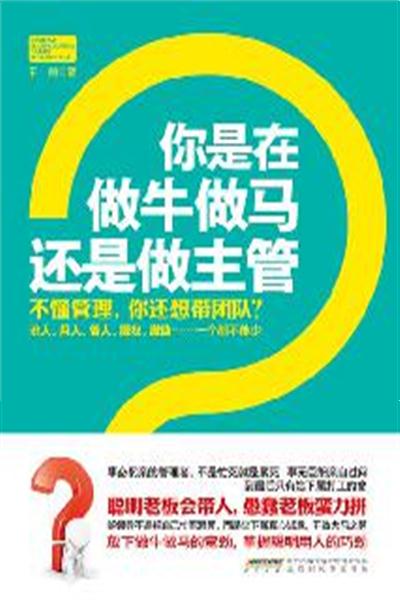 探索文学新航道，起航小说网的崛起与影响