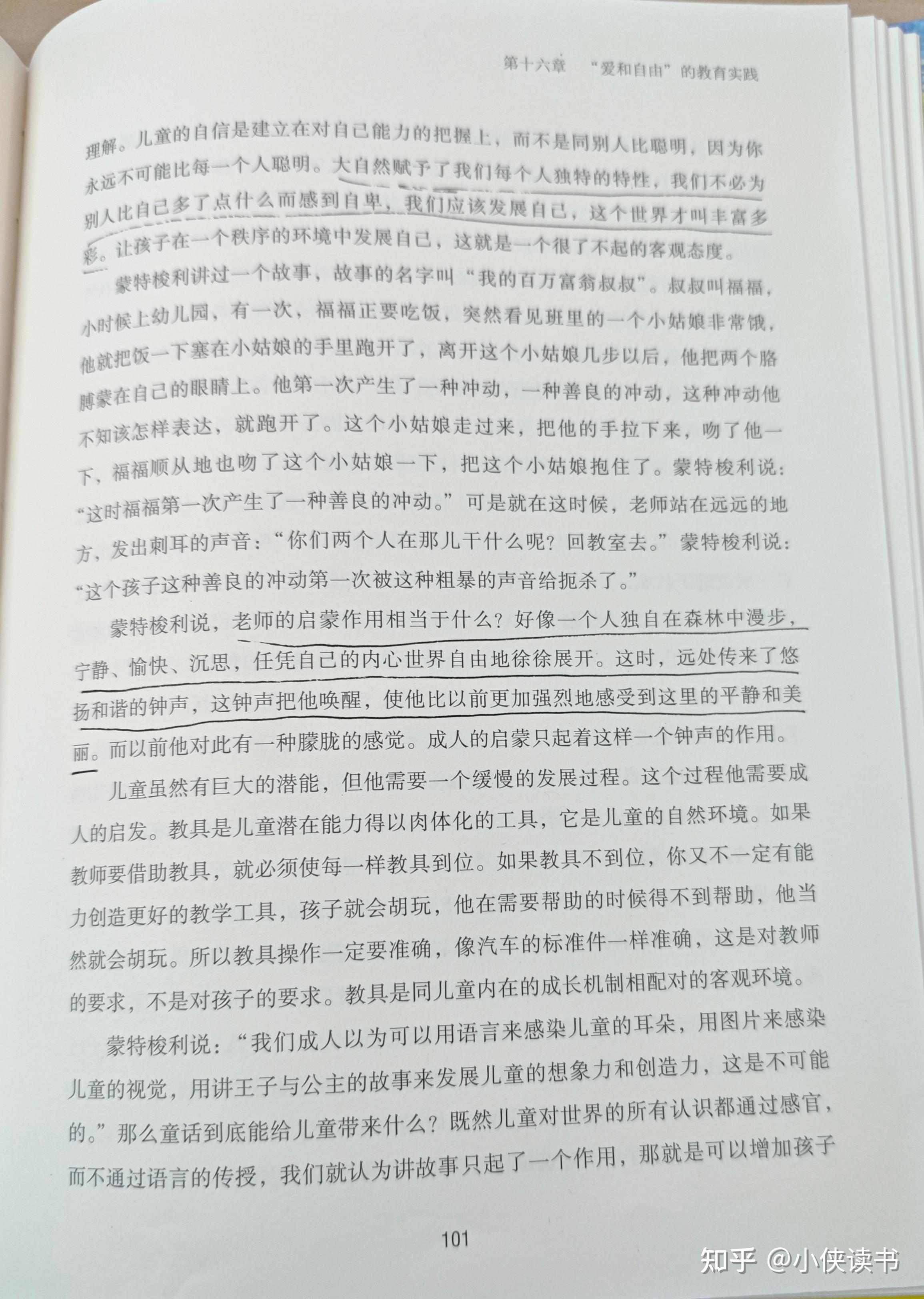 探索同志小说的TXT世界，爱与自由的文字之旅