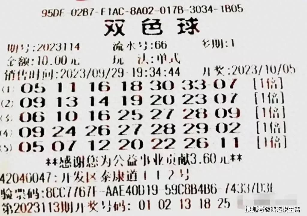 探索双色球24130期，数字背后的奥秘与期待