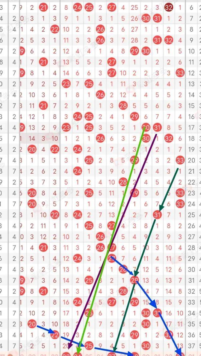 探索数字的奥秘，超长版双色球走势图深度解析