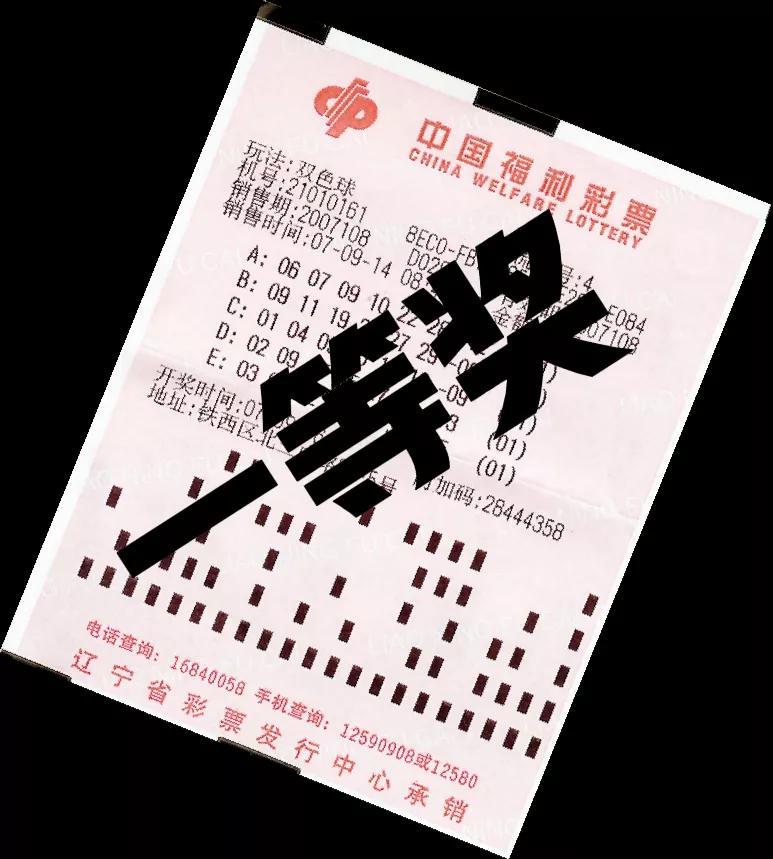 探索双色球2019年第8期，数字背后的奥秘与彩民的期待