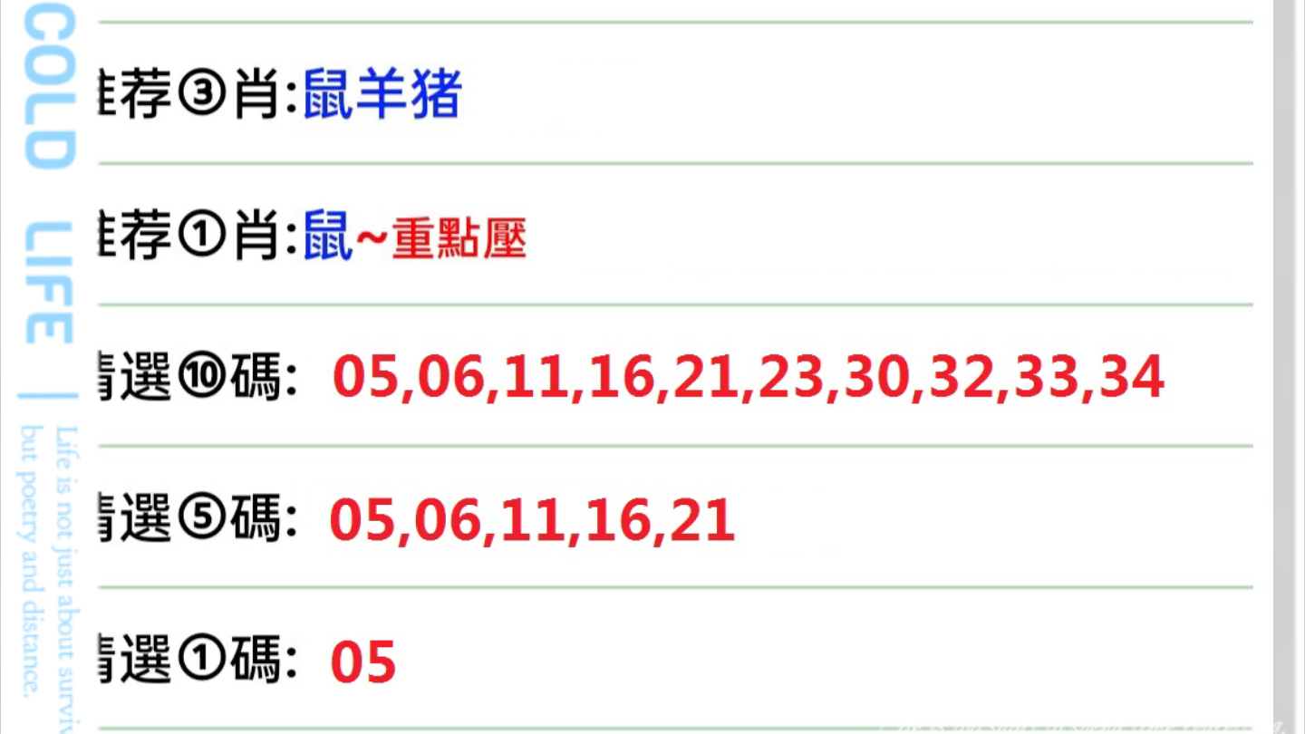 2048年澳门六开彩，数字背后的幸运与期待