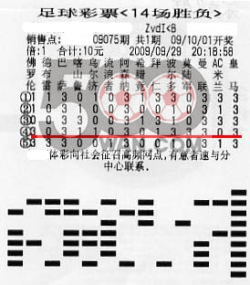 全国体育彩票31选7开奖结果，统一性与公平性的深度解析