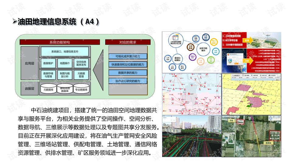 首页彩民之家，探索数字彩票的乐趣与智慧