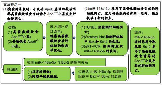 5P开奖，排列五的魅力与理性参与