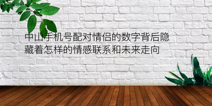 13开头，情深意长，解锁数字情缘——探秘‘ ’手机号码选号网的浪漫与实用并重之道