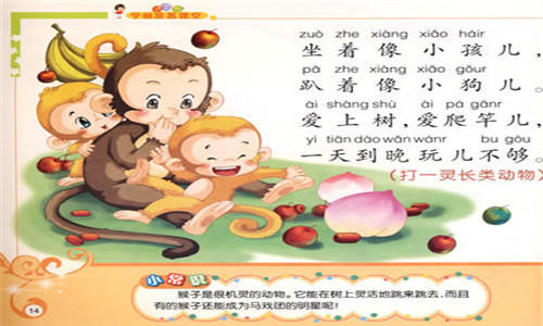 幼儿园谜语10，与动物共舞的智慧之旅