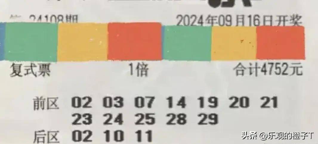 一肖一中，持之以恒的智慧—探索生肖与人生哲理一肖一码中持一一肖一子深圳