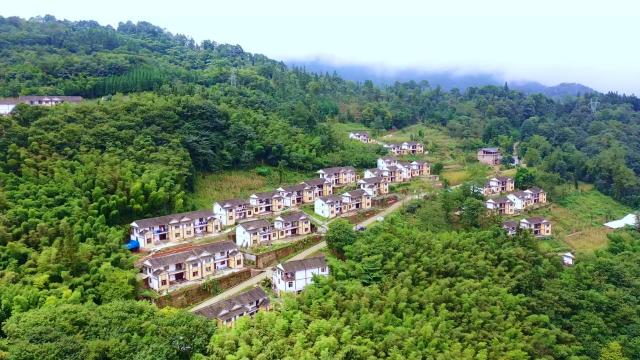 解锁知识宝库—2019年正版免费全年资料大全的非凡价值正版免费全年资料大全2019年手机版