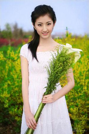 探索新澳门彩出号走势的奥秘，数据与趋势分析新澳门彩出号走势图2025