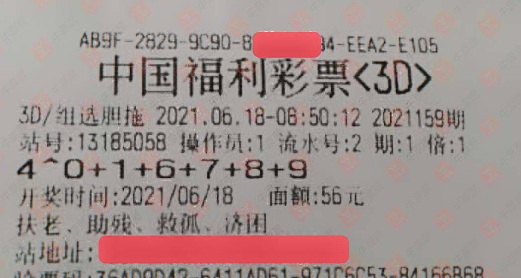 澳门今晚开奖号码204年最新，揭秘彩票背后的故事与期待新澳门今晚开奖号码2024年开奖结果最新消息