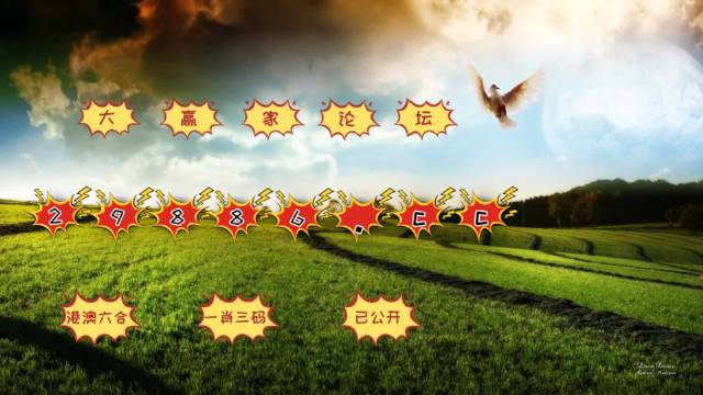 2048年新澳门开奖结果查询，便捷的表格图片与价格透明度2021澳门开奖结果开奖记录_高手