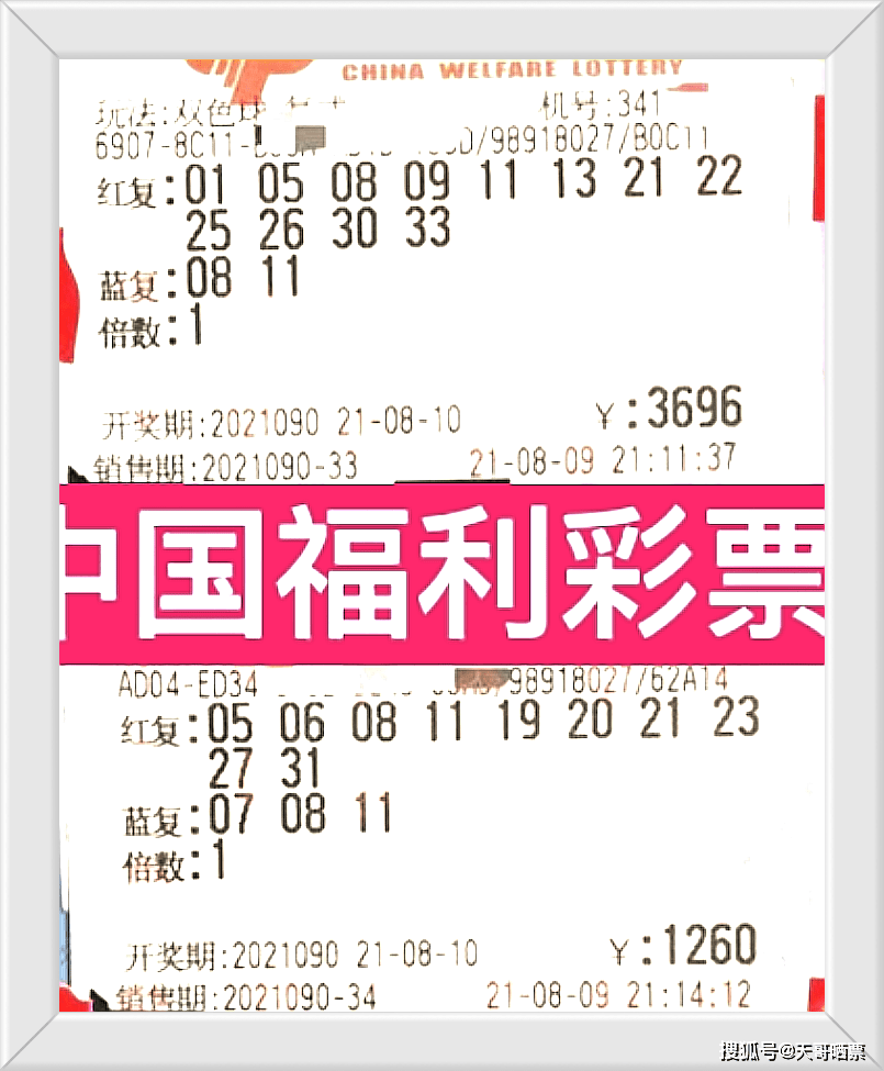 澳门今晚开奖结果号码，四不像现象的背后澳门彩今晚开奖结果四不免253期