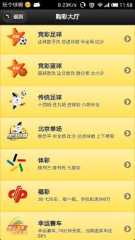 2048年新澳门正版资料大全免费，探索未来彩票的数字世界新澳2025正版资料大全澳头诗
