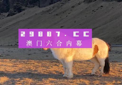 探索新澳门彩官方网站会员的独特魅力与价值i澳门彩