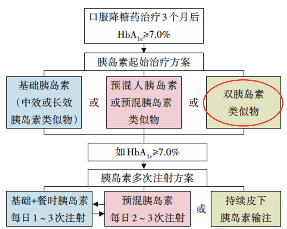 探索新澳门正版资料大全，最新版免费资源指南澳门正版资料免费大全新闻