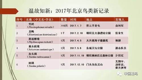 澳门2045,新时代的幸运之选新澳门2024开奖记录表图片