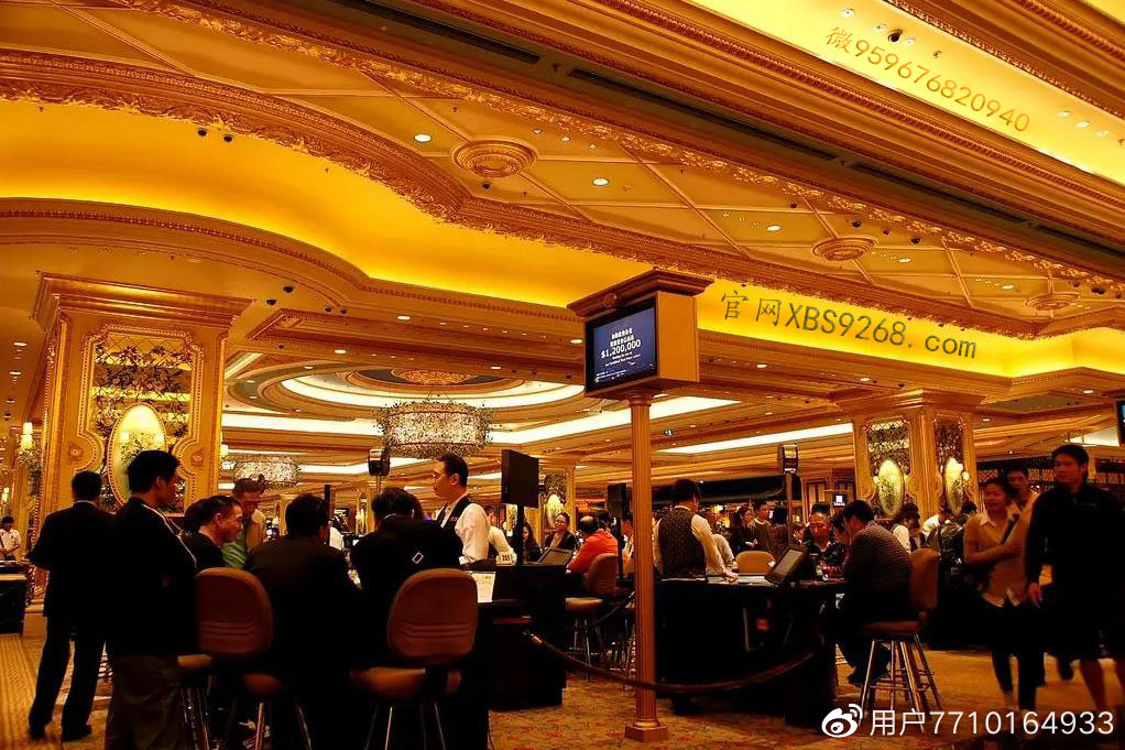 澳门新平台，正规与安全的网络娱乐选择新澳门网投是真的吗