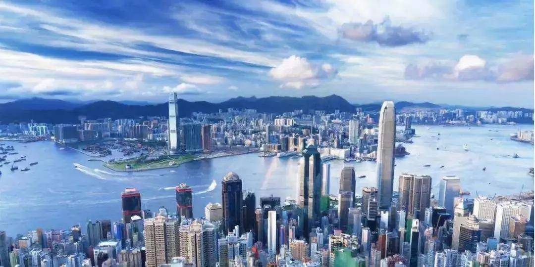 行情动态