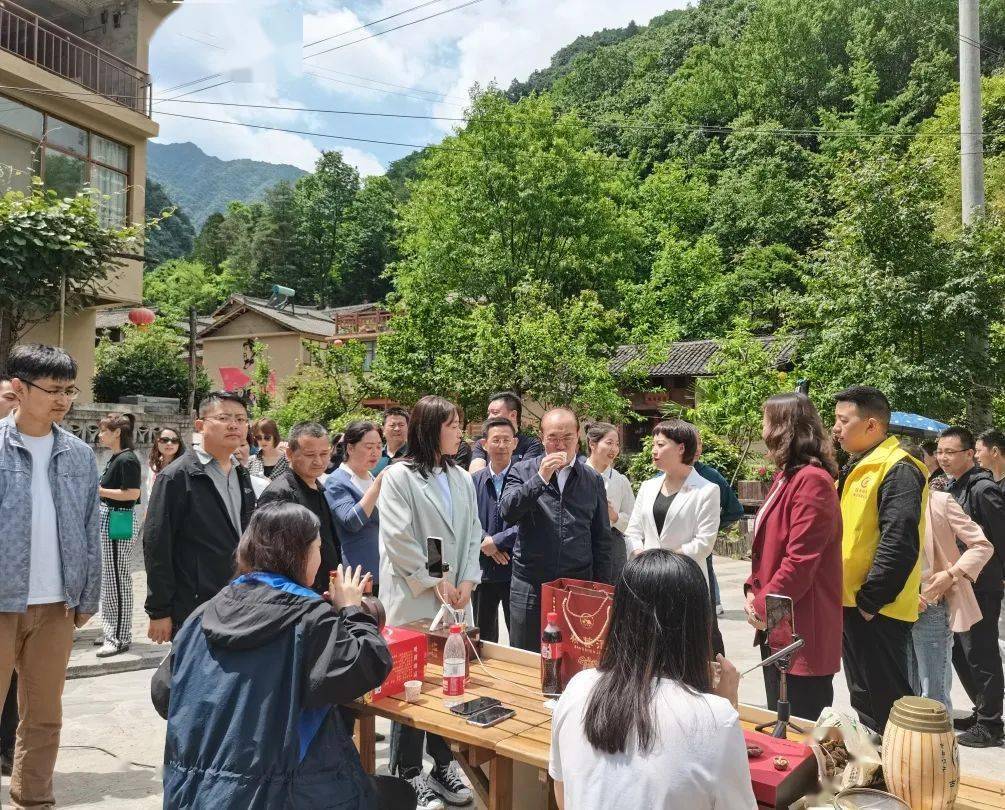 探索新澳门开奖现场,直播软件的创新体验与魅力新澳门开奖现场开奖直播软件介绍视频